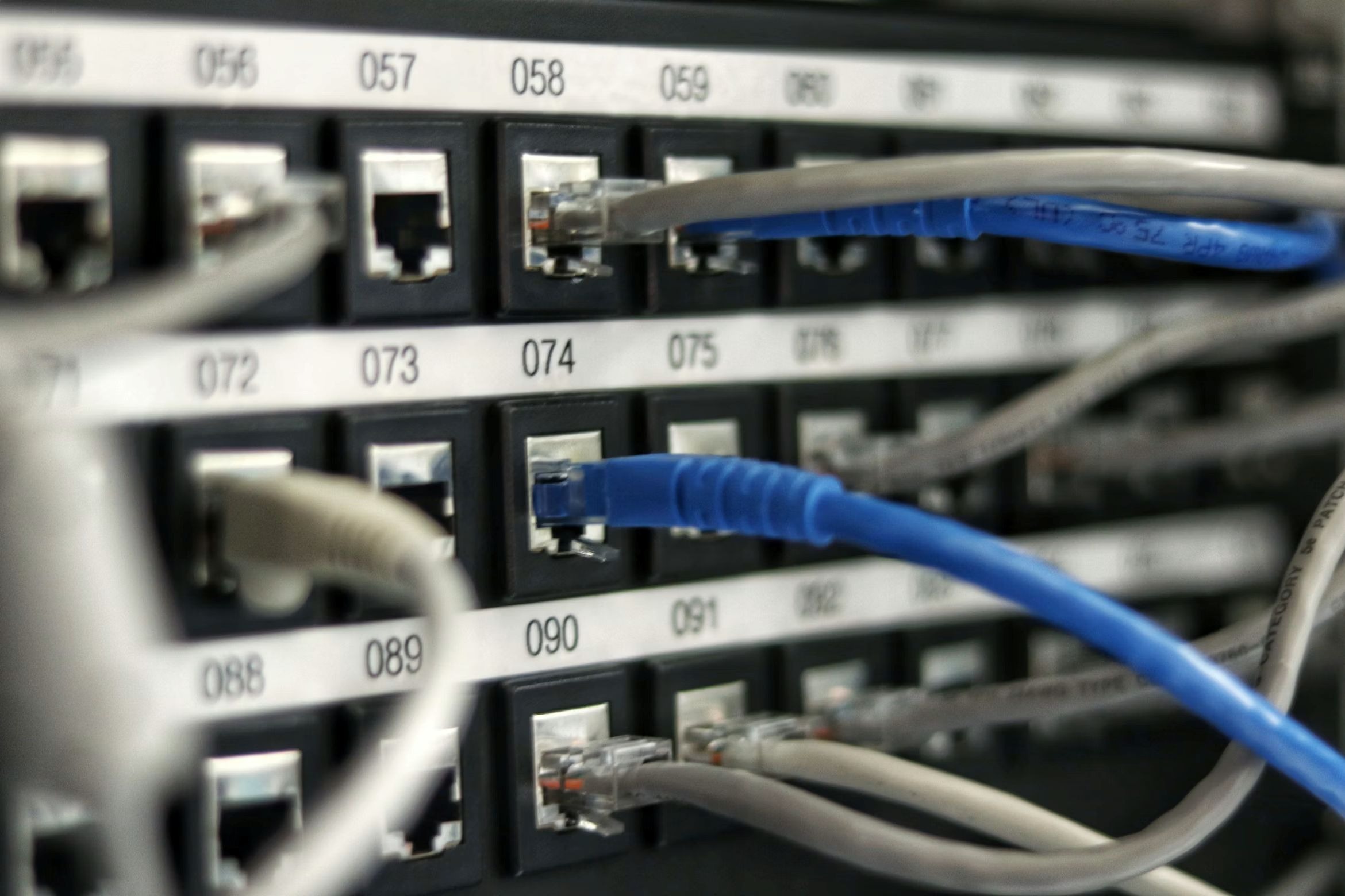 Strengthen Your Business's Digital Backbone with Kodsis Expertise.